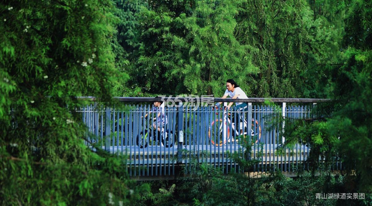 青山湖绿道实景图