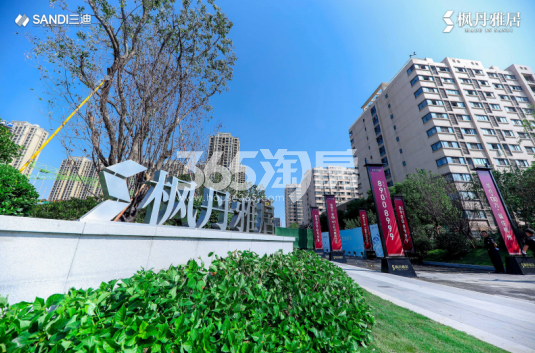 三迪枫丹雅居现场活动图（2020.9）