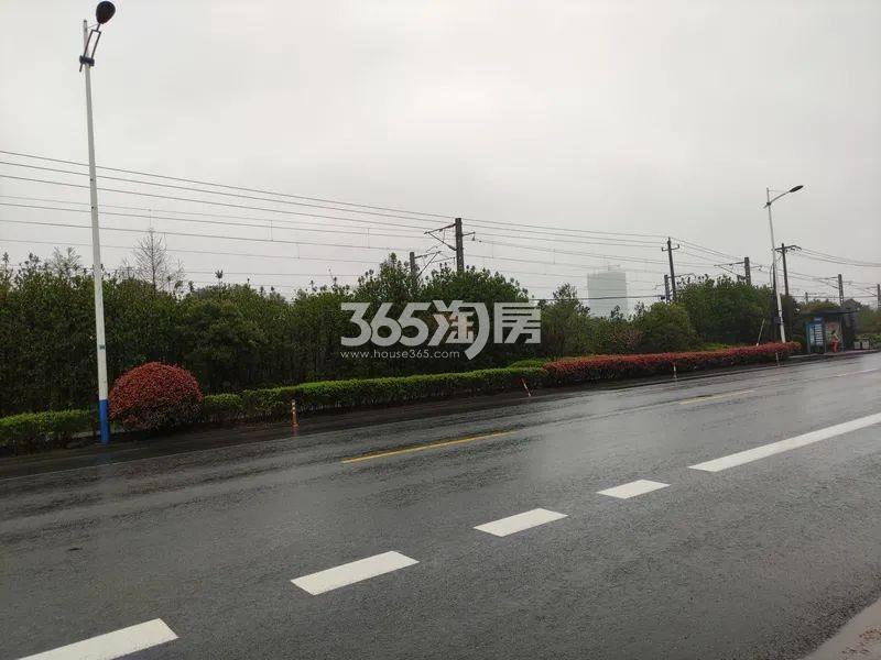 蜀惠朝闻花城南侧实景图