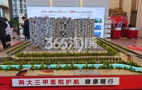 杭望云潮城沙盘实景图