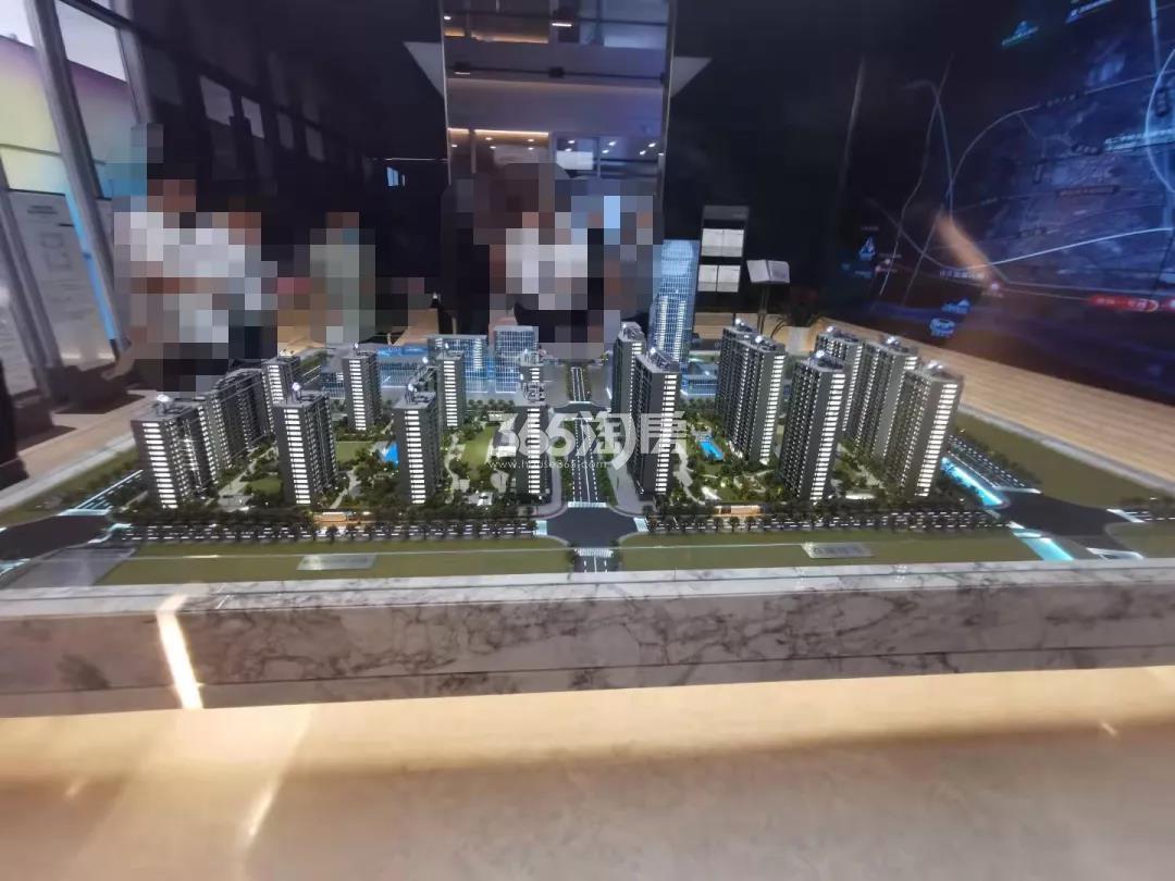 月映咏荷园沙盘实景图