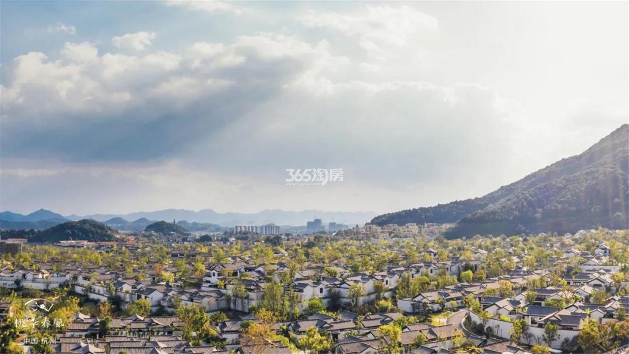 青云山居桃李春风实景图