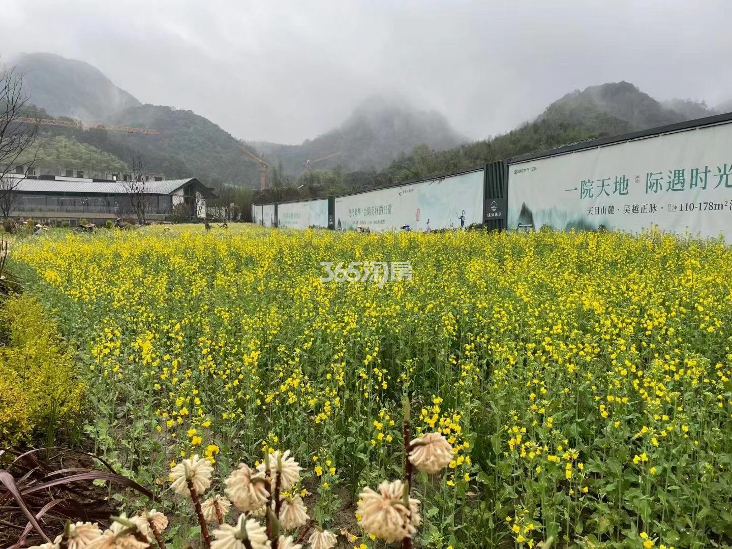 溪涧雅庐实景图