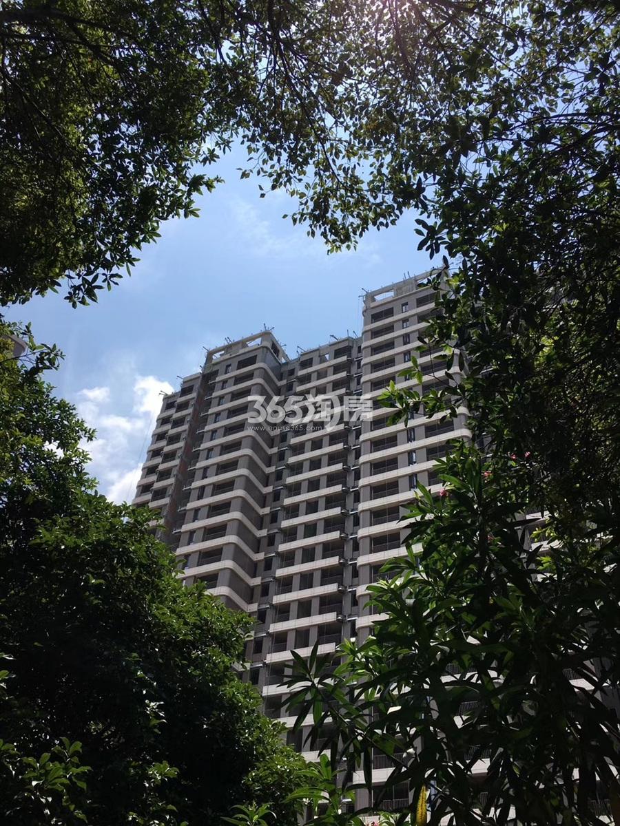金隅中铁都会森林项目实景