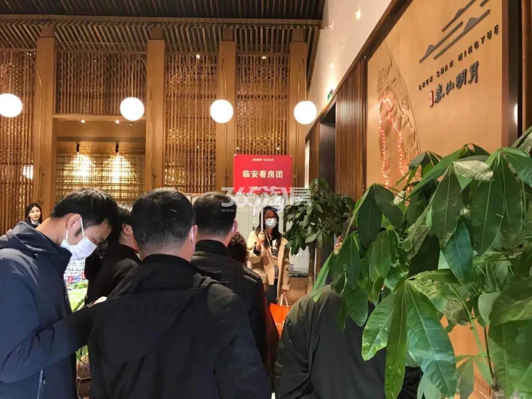 3.21临安楼市看房团活动——大华春山明月（四区）