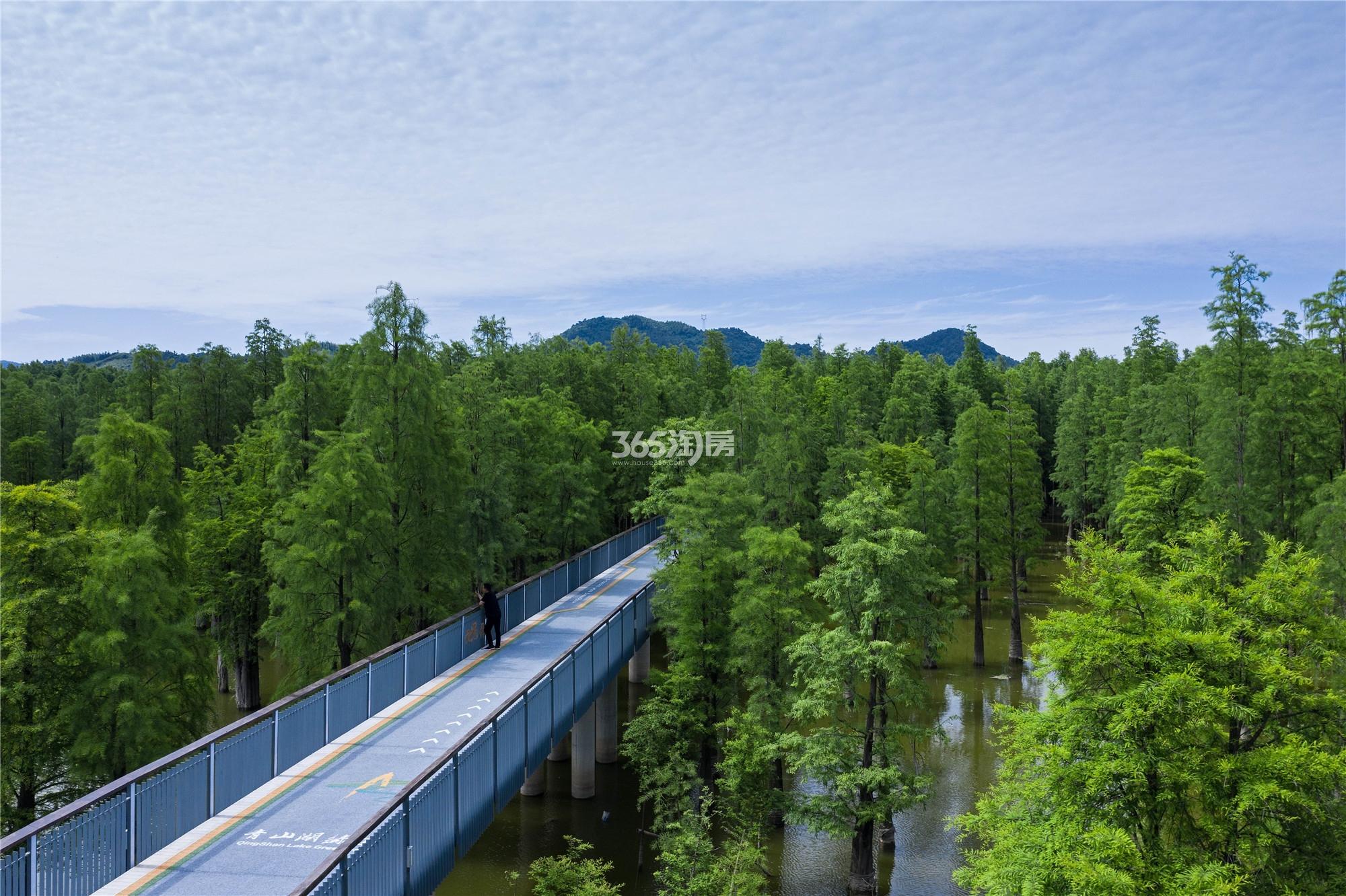 云安朴座配套——青山湖环湖绿道