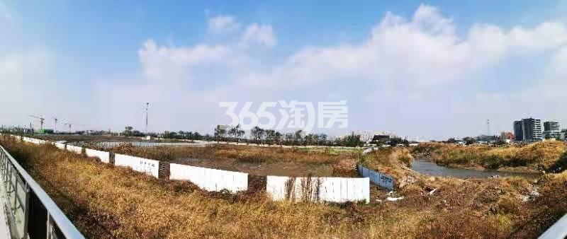 滨江兴耀大江东13号地块周边实景图
