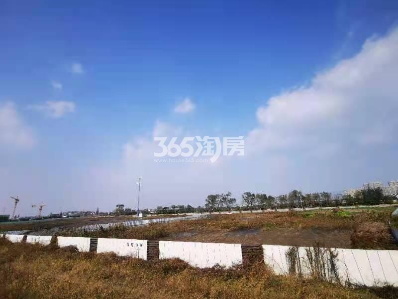 滨江兴耀大江东13号地块周边实景图