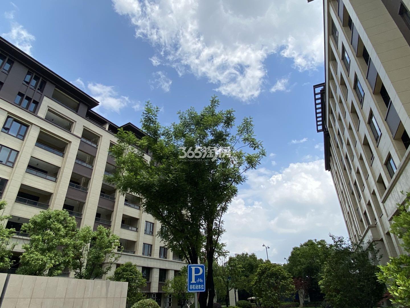 西溪风情花园观止苑实景图（2020.9）