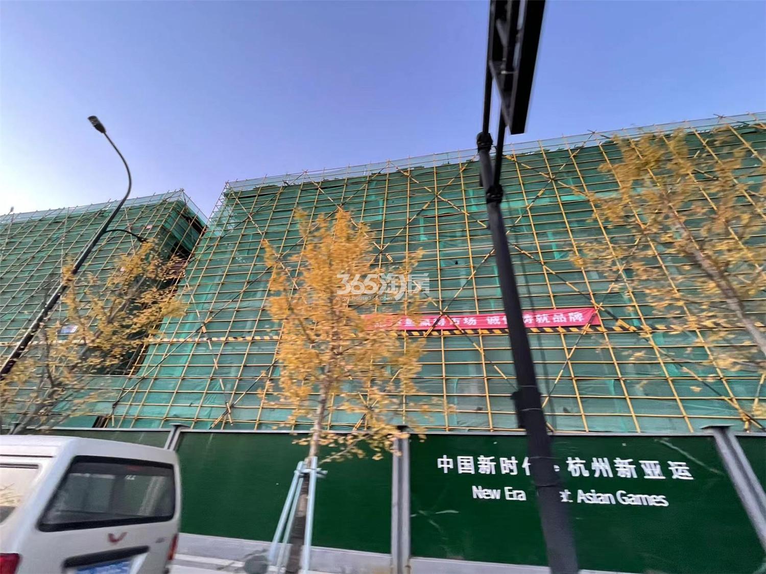 棠颂大院实景图