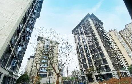 山语凤鸣府2020.09实景图