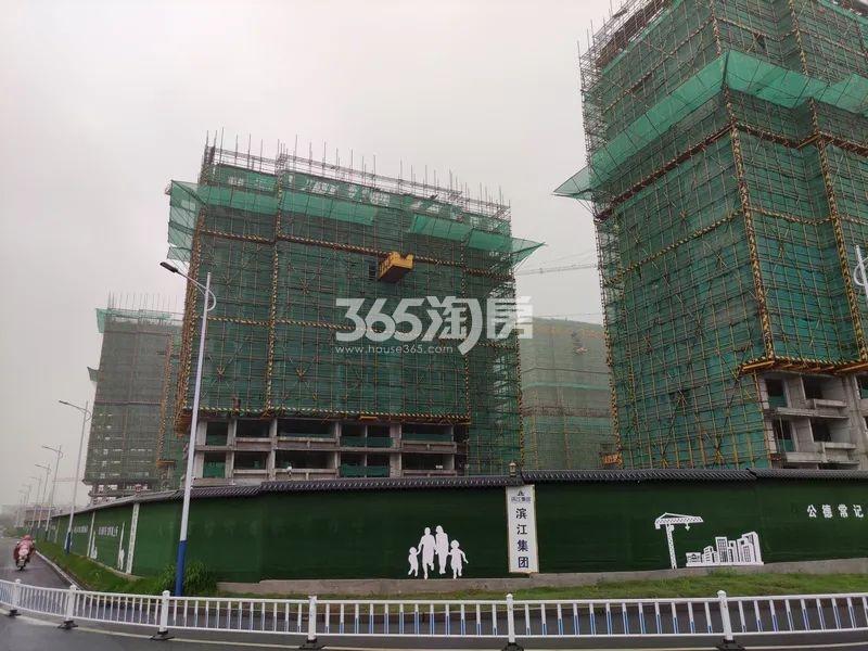 蜀惠朝闻花城现场实景图