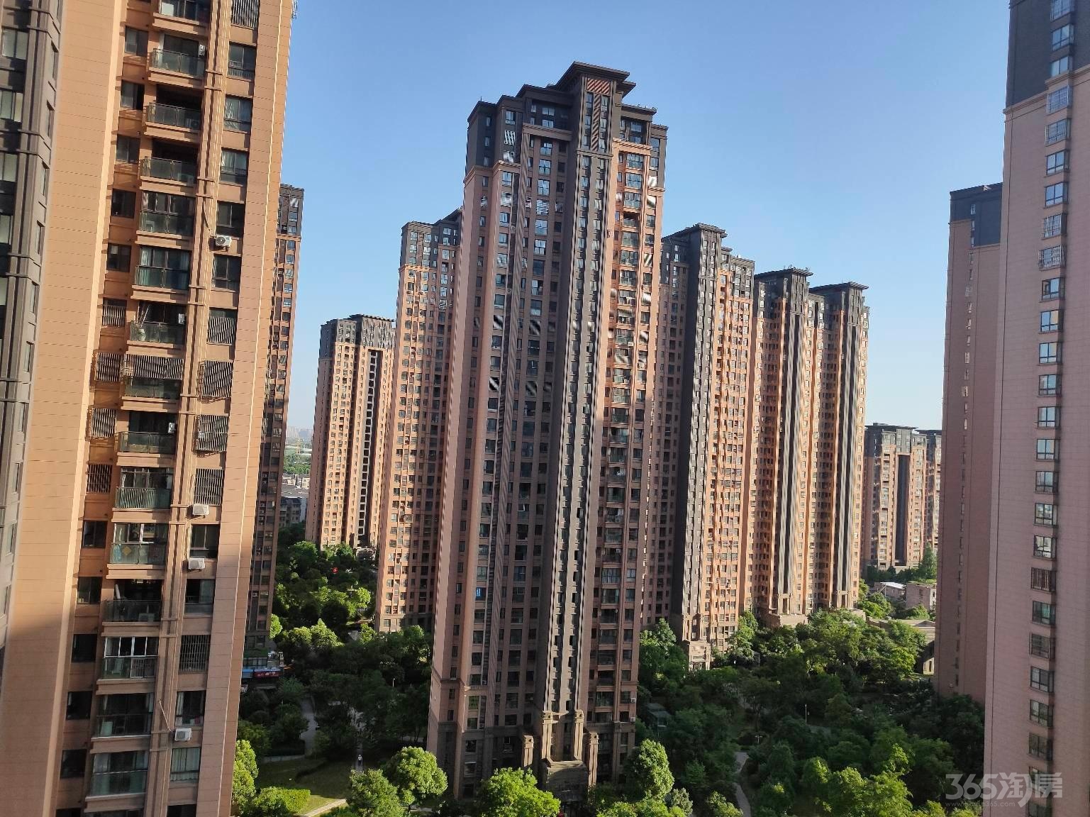 9月新上!绿地海顿公馆 中间两室朝南户型无税 有钥匙随时可看