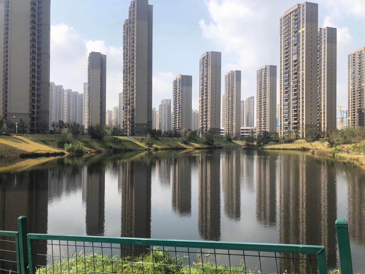 马群汤山以东 轻轨 碧桂园凤凰城 南北通透 满2年