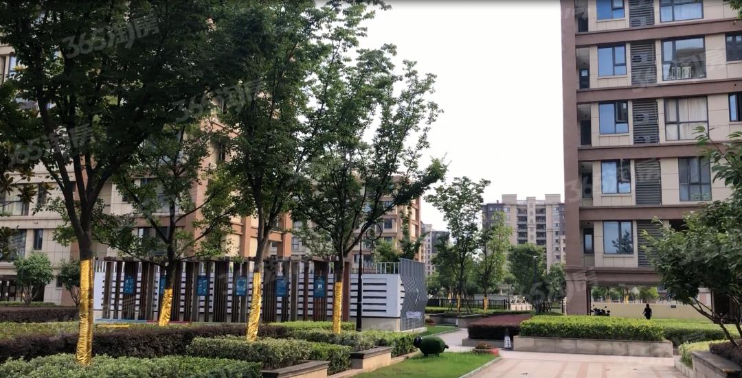 金轮津桥华府_南京金轮津桥华府二手房|租房|房价_南京365淘房