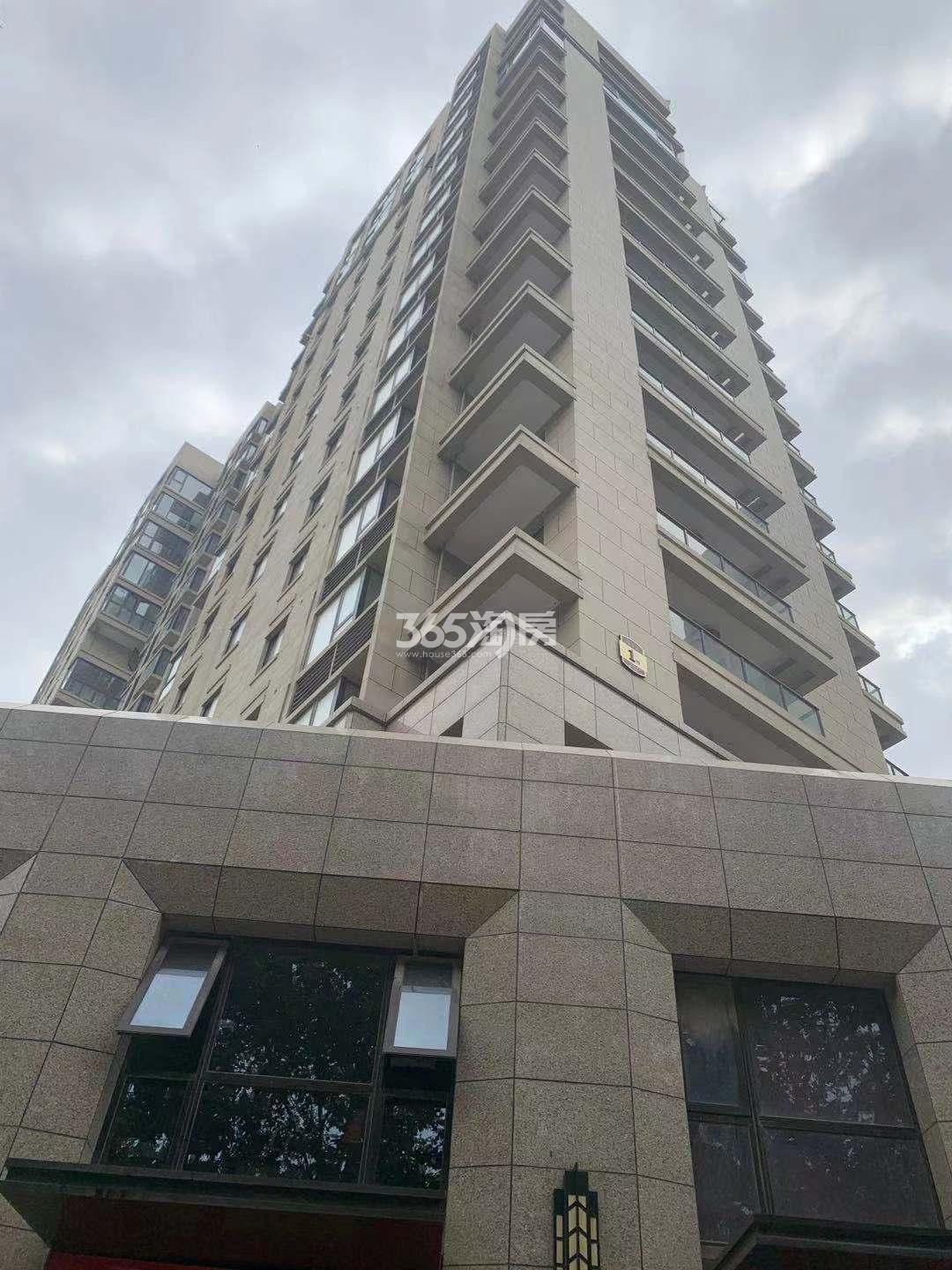 三金鑫宁府1号楼实景图(11.27)