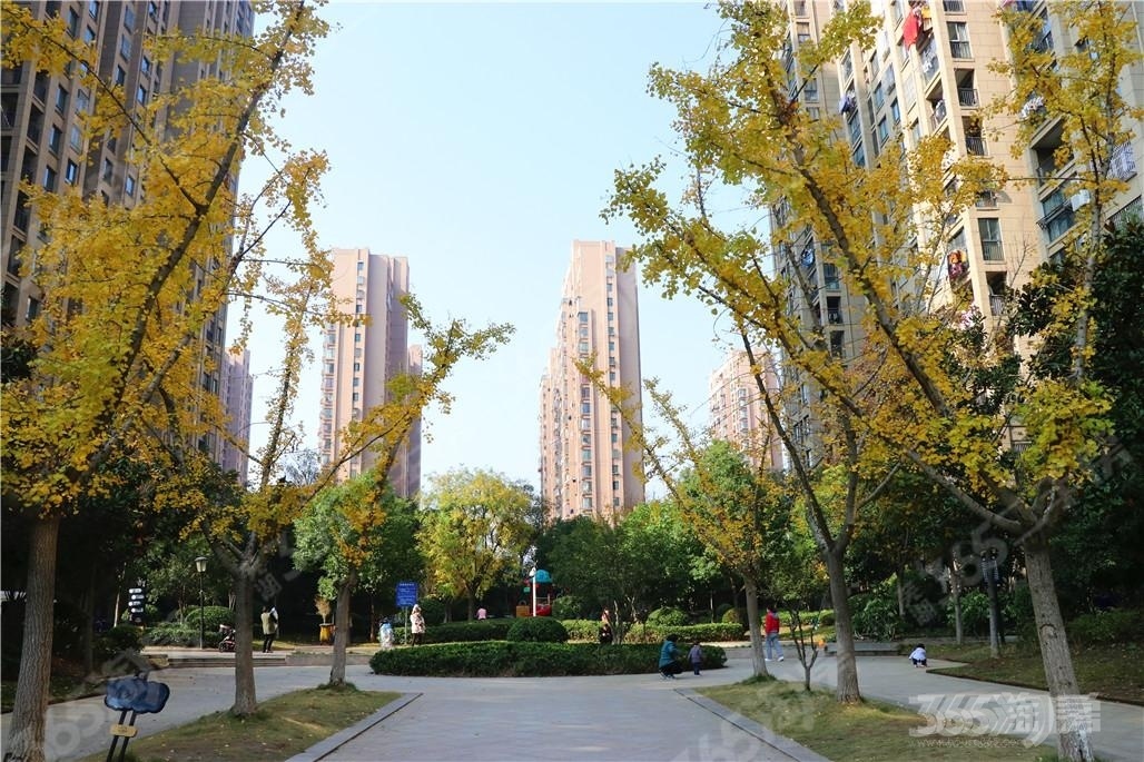 南北通透 钻石楼层 随时看房_芜湖镜湖区绿地伊顿公馆二手房】_芜湖